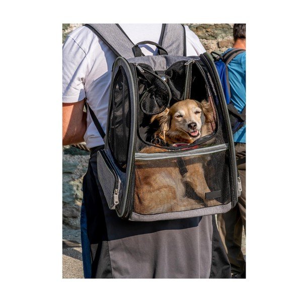 Kisállat hordozó táska 27x33 cm – Love Story-image-1