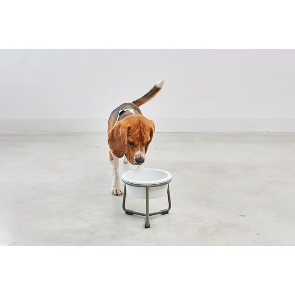 Porcelán tálka állvánnyal kutyáknak ø 20 cm Pranzo Grolive M – MiaCara-image-2