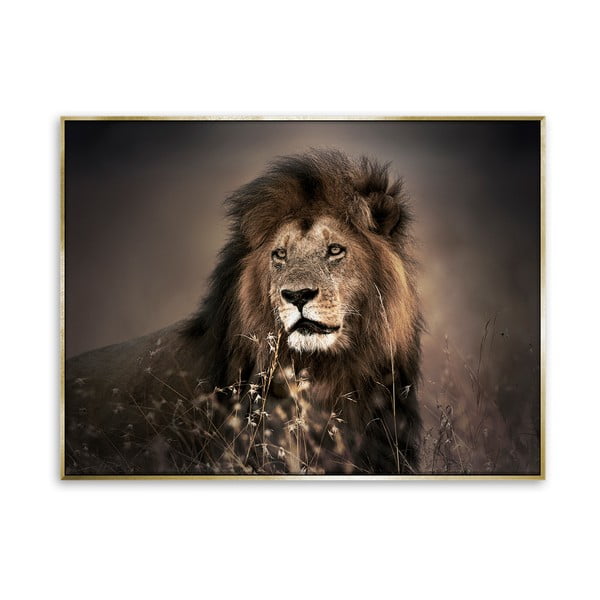 Golden Lion vászonkép, 62 x 82 cm - Styler