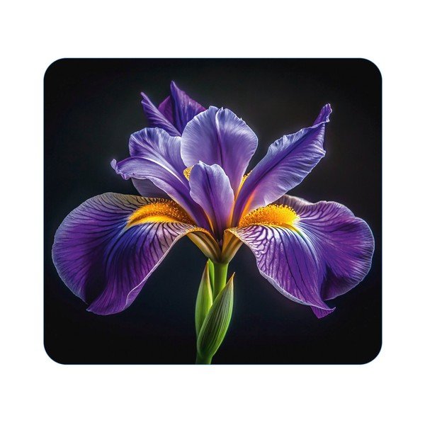 Edzett üveg falvédő tűzhelyhez 50x56 cm Abdeckplatte  – Wenko
