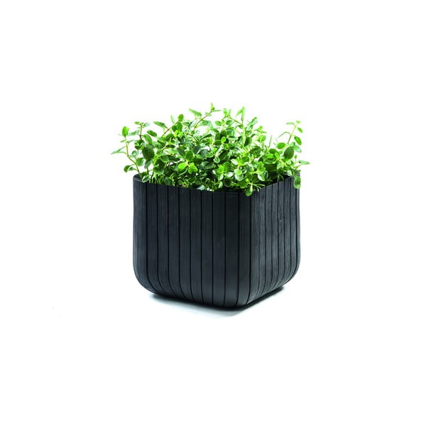 Műanyag virágcserép Cube – Keter-image-2