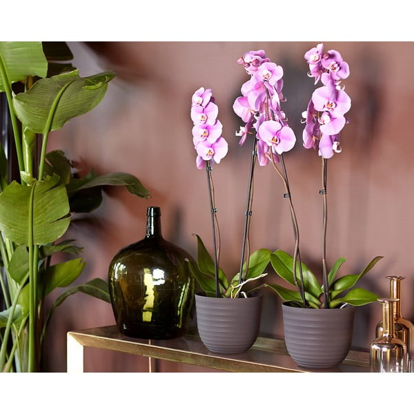 Újrahasznosított műanyag virágcserép ø 20 cm Havana – Artevasi-image-2