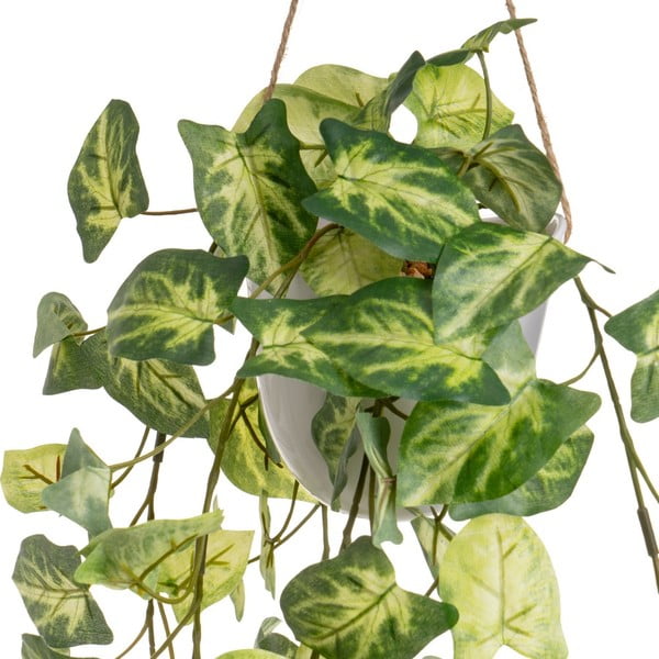 Műnövény szett 2 db-os (magasság 55 cm) – Casa Selección-image-3