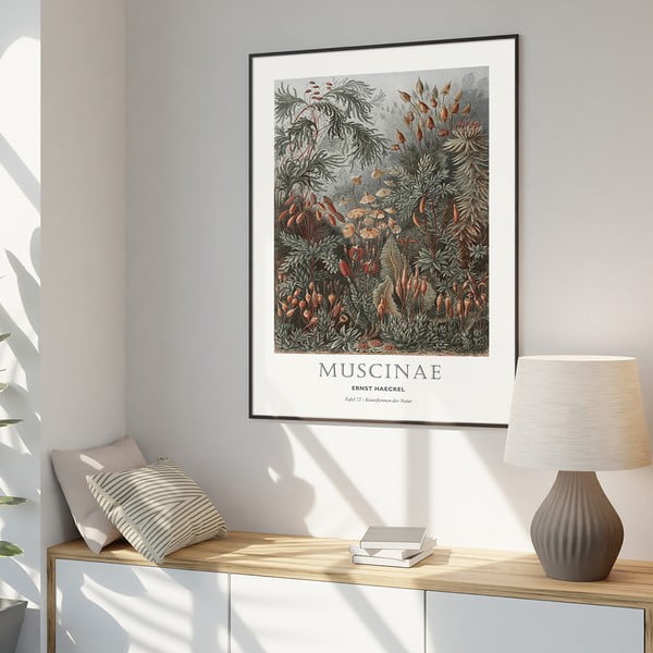 Kép 51x71 cm Tafel 72   – Malerifabrikken-image-1