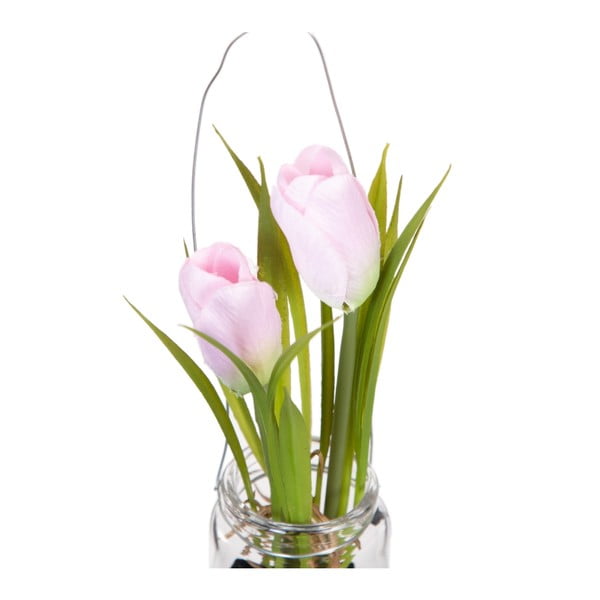 Művirág (magasság 18 cm) Tulip – Ixia-image-1