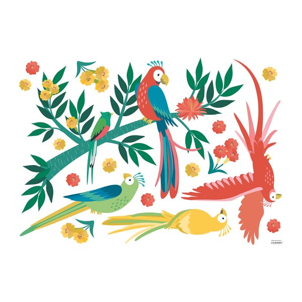 Matrica lap 90x64 cm Parrots – Lilipinso