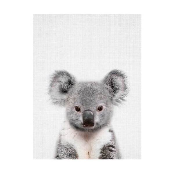 Baby Animals Koala poszter, 30 x 40 cm - Blue-Shaker