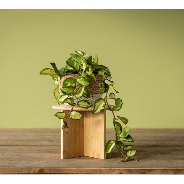 Bambusz virágtartó állvány ø 25 cm (magasság 19,5 cm) – Esschert Design-image-1