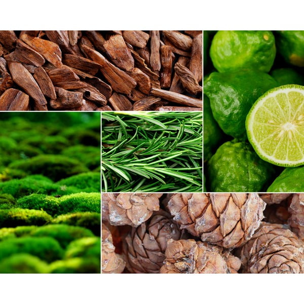 Illatos szójaviasz gyertya égési idő 60 ó Tobacco&Leather/Oud&Bergamote – Privé Home-image-1