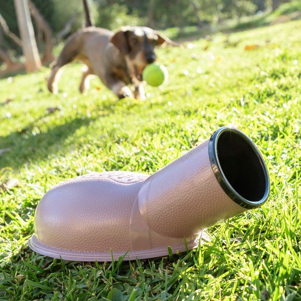 Playdog labdakilövő kutyáknak - InnovaGoods-image-2