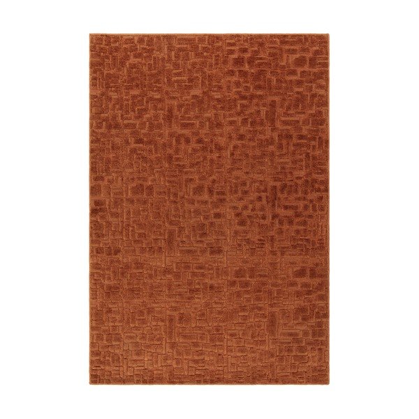 Terrakotta színű szőnyeg 200x290 cm – Asiatic Carpets