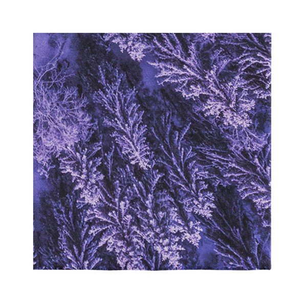 Suzzo Flower lila szőnyeg, 140 x 220 cm - Oyo home-image-3