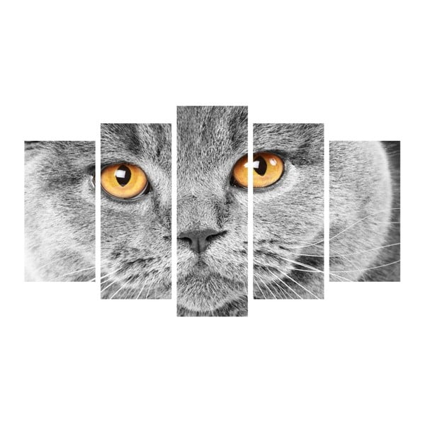 Cat Eyes többrészes kép, 102 x 60 cm - Insigne