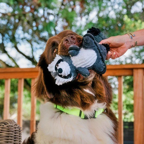 Mosómedve kutyajáték – P.L.A.Y.-image-1