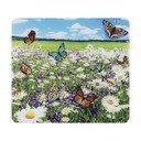 Edzett üveg falvédő tűzhelyhez 50x56 cm – Maximex