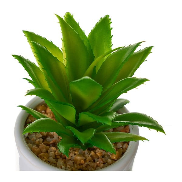 Művirág szett 4 db-os Cactus – Casa Selección-image-3