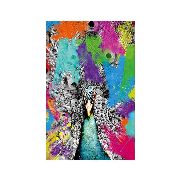 Proud Peacock fali kép, 45 x 70 cm