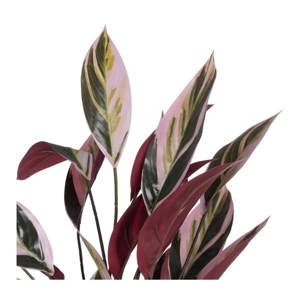 Műnövény (magasság 55 cm) Bird of Paradise – Ixia-image-1