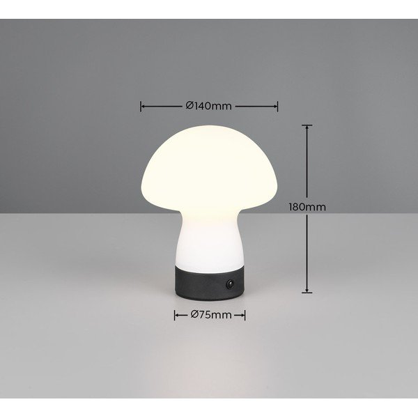 Matt fehér LED asztali lámpa üveg búrával (magasság 18 cm) Dooley – Reality-image-4