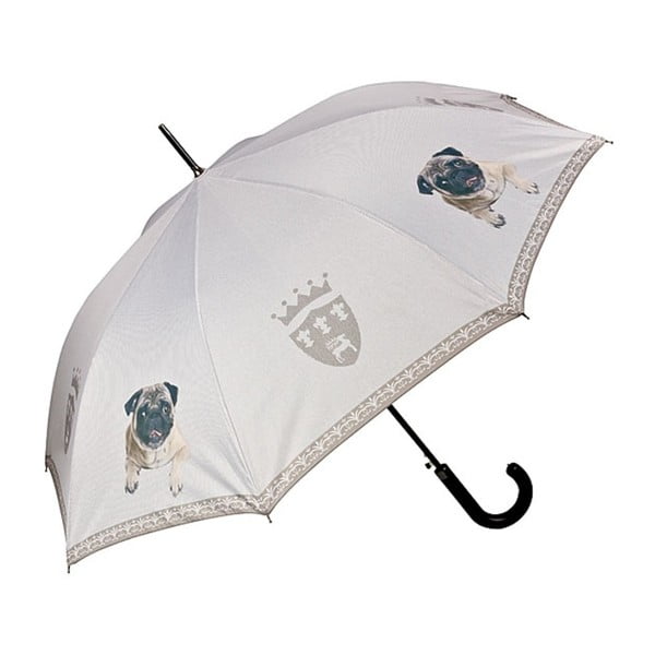 Pug botesernyő - Von Lilienfeld