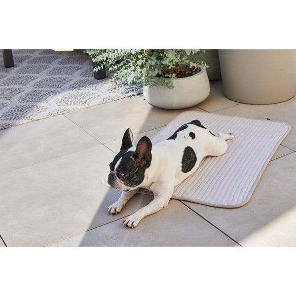 Szürke pamut takaró kutyáknak 90x120 cm Onda Pebble L – MiaCara-image-3