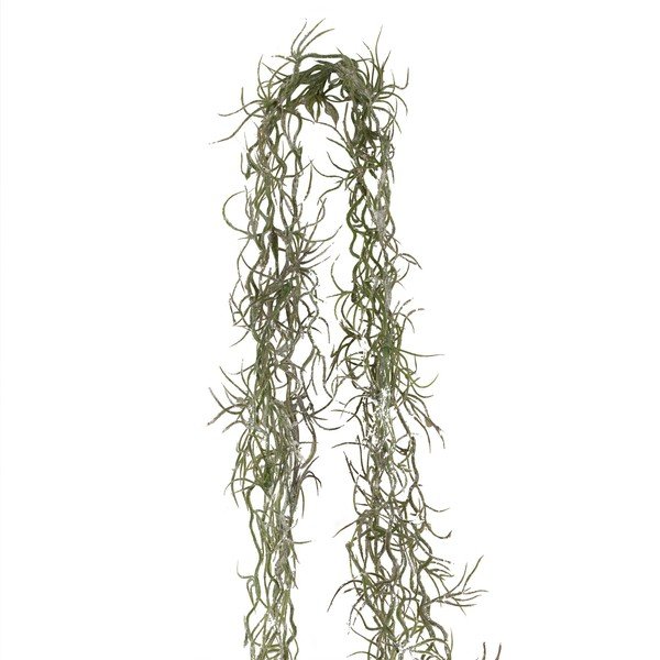 Művirág Lichen – Côté Table-image-2