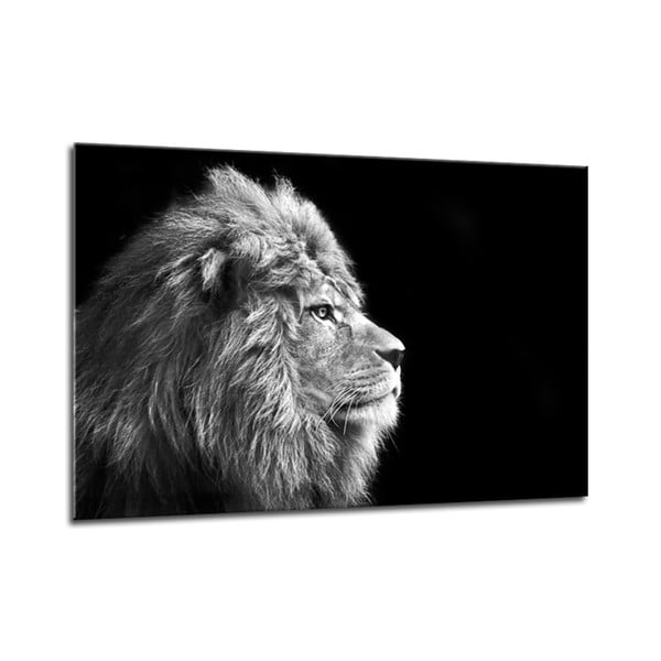 Glasspik Canvas Animals Lion fali kép, 70 x 100 cm - Styler