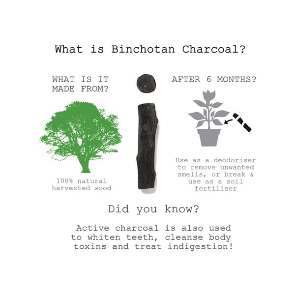 Eau Good 1 db binchotan pálca - Black + Blum-image-1