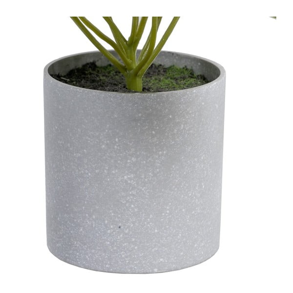 Műnövény (magasság 21 cm) Syngonium – Ixia-image-1