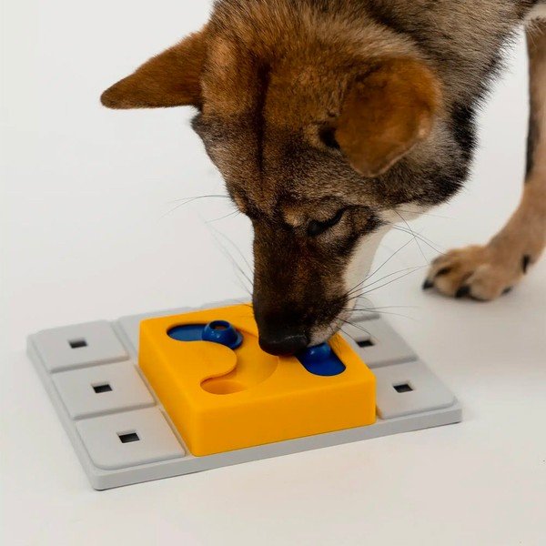 Ügyességi játék kutyáknak Kaya – Pawzler-image-2