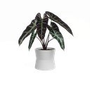 Kerámia virágcserép ø 14 cm Diana – Artevasi