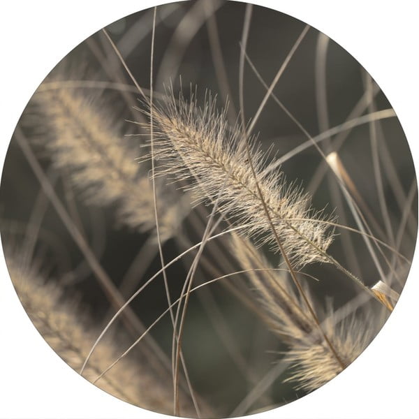 Kép ø 40 cm Mellow Grasses 2 – Malerifabrikken