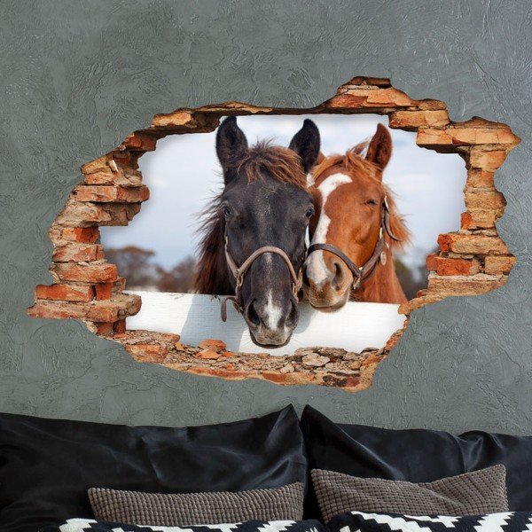 Horses falmatrica - Ambiance-image-3