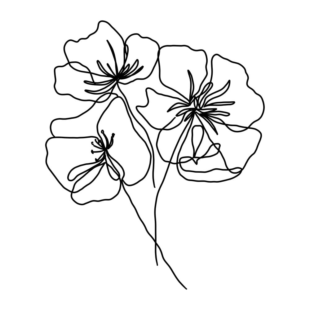 Poszter 29x41.4 cm Květy - Veronika Boulová