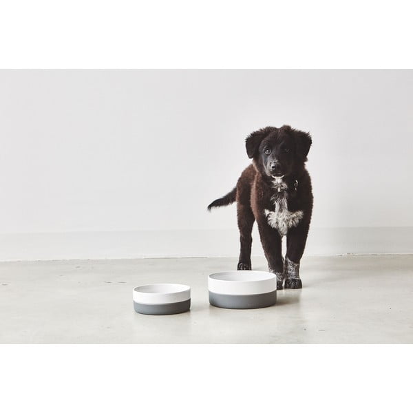 Porcelán tálka kutyáknak ø 21,5 cm Coppa Slate M/L – MiaCara-image-1