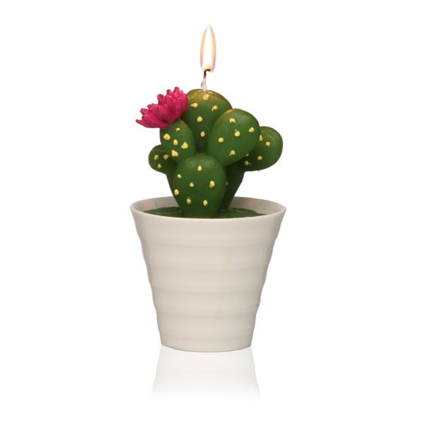Cactus Paol kaktuszformájú díszgyertya - Versa
