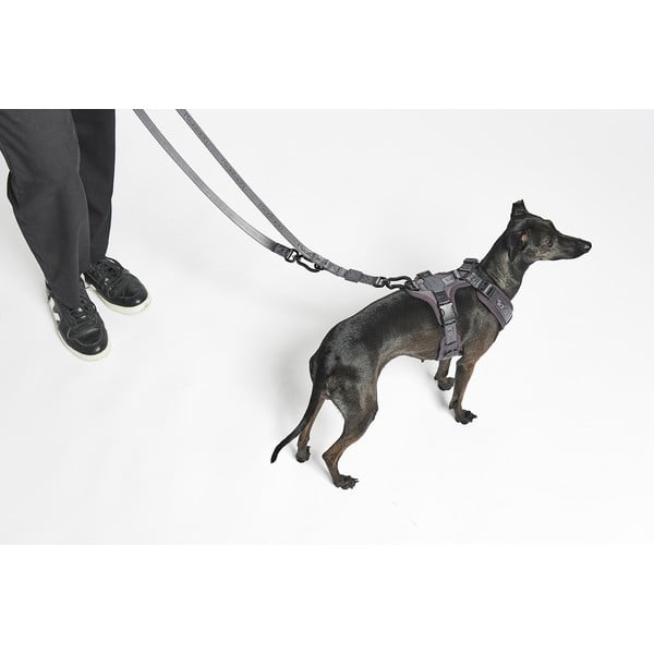 Bézs kapcsos póráz hosszúság 200 cm Modena Greige 20 mm – MiaCara-image-1