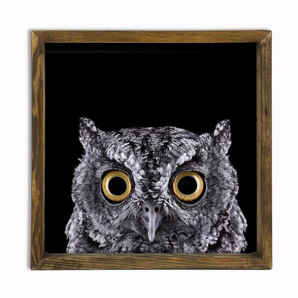 Owl fali kép, 34 x 34 cm