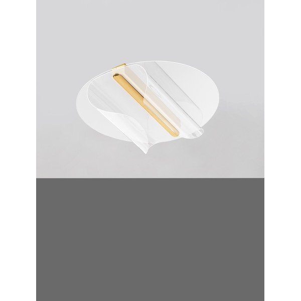 Aranyszínű alumínium LED dimmelhető mennyezeti lámpa 55x45 cm Valentin – Nova Luce-image-3