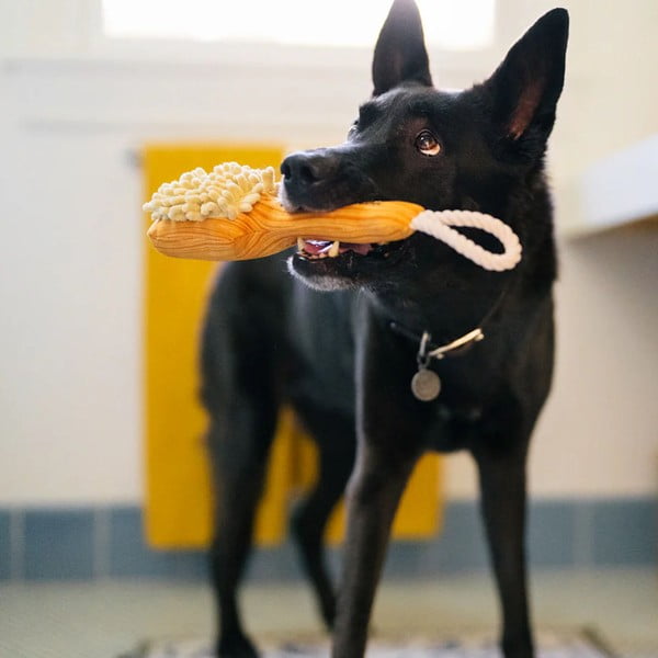 Kefe kutyajáték – P.L.A.Y.-image-1