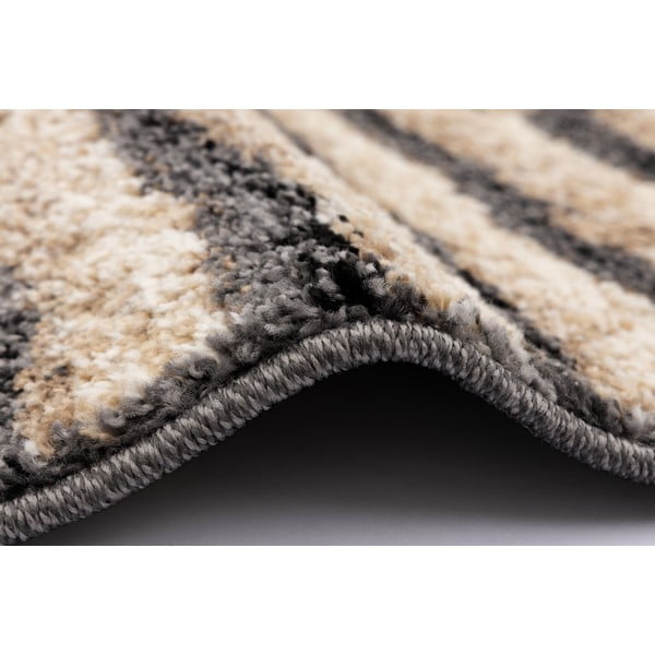 Barna szőnyeg 160x220 cm Avanti – FD-image-2