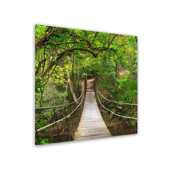 Glas Nature Forest kép, 30 x 30 cm - Styler-image-1