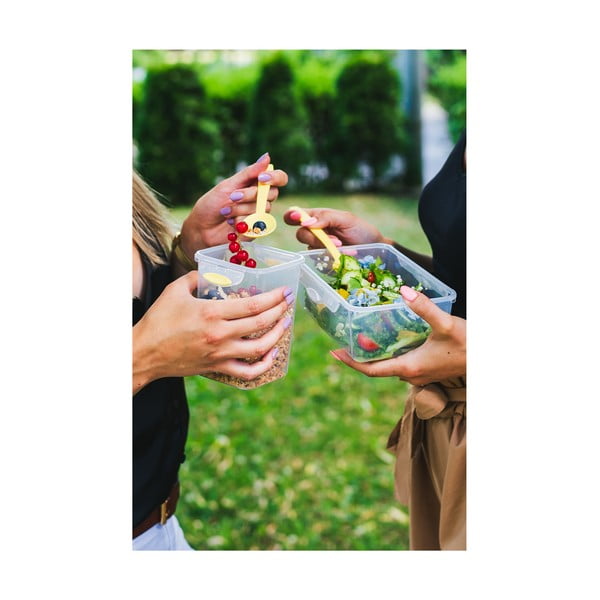 Kétrészes zöld ételes doboz evőeszközökkel, 650 ml + 230 ml - Vialli Design-image-3