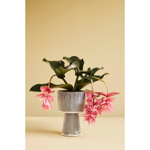 Pot 2 db-os fekete-bézs kerámia kaspó szett - Hübsch-image-4