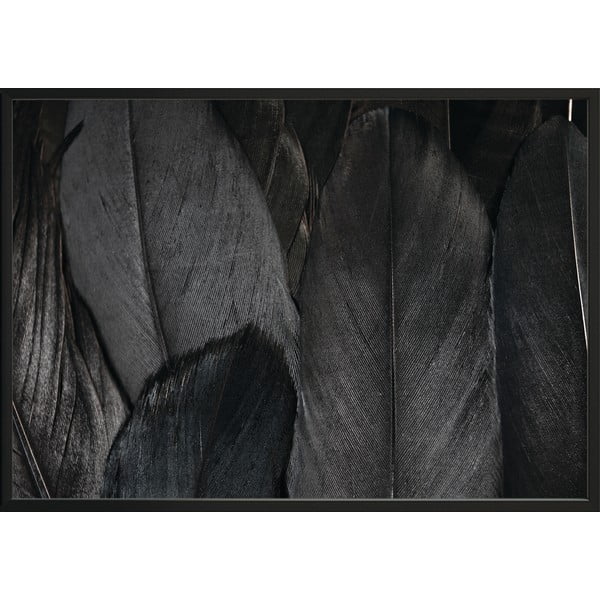 Feathers Black plakát, 100 x 70 cm - DecoKing