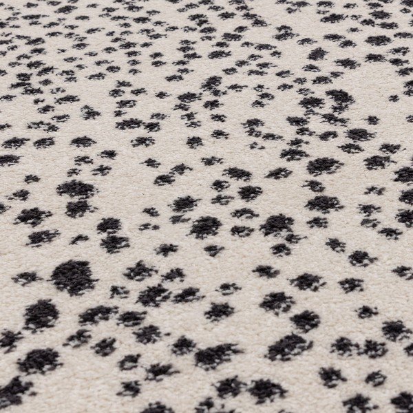 Fekete-fehér szőnyeg 160x230 cm Muse – Asiatic Carpets-image-2