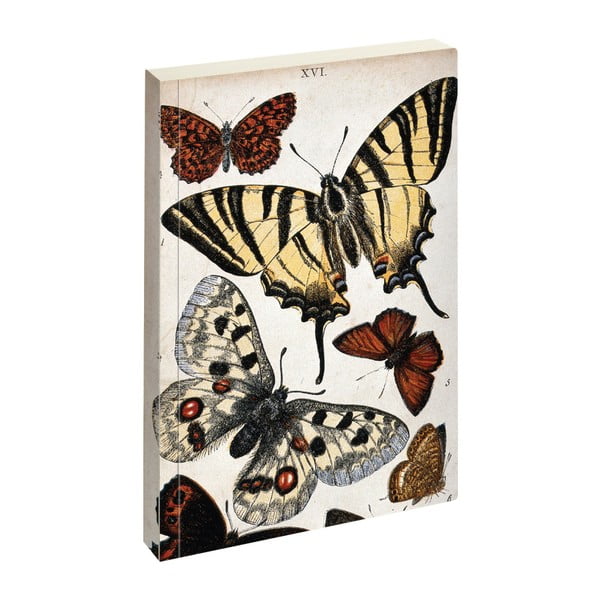 Biologica Butterfly jegyzetfüzet - Jay