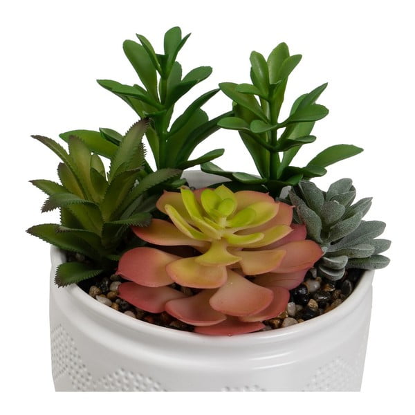 Műnövény szett 2 db-os (magasság 19 cm) Cactus – Casa Selección-image-3