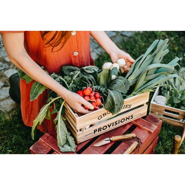 Equal kőrisfa kerti szerszámkészlet - Esschert Design-image-2