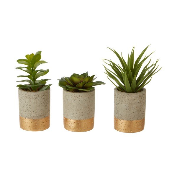 Fiori 3 db pozsgás kerámia kaspóban - Premier Housewares-image-1